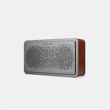 Bluetooth Wireless Speaker BS-221